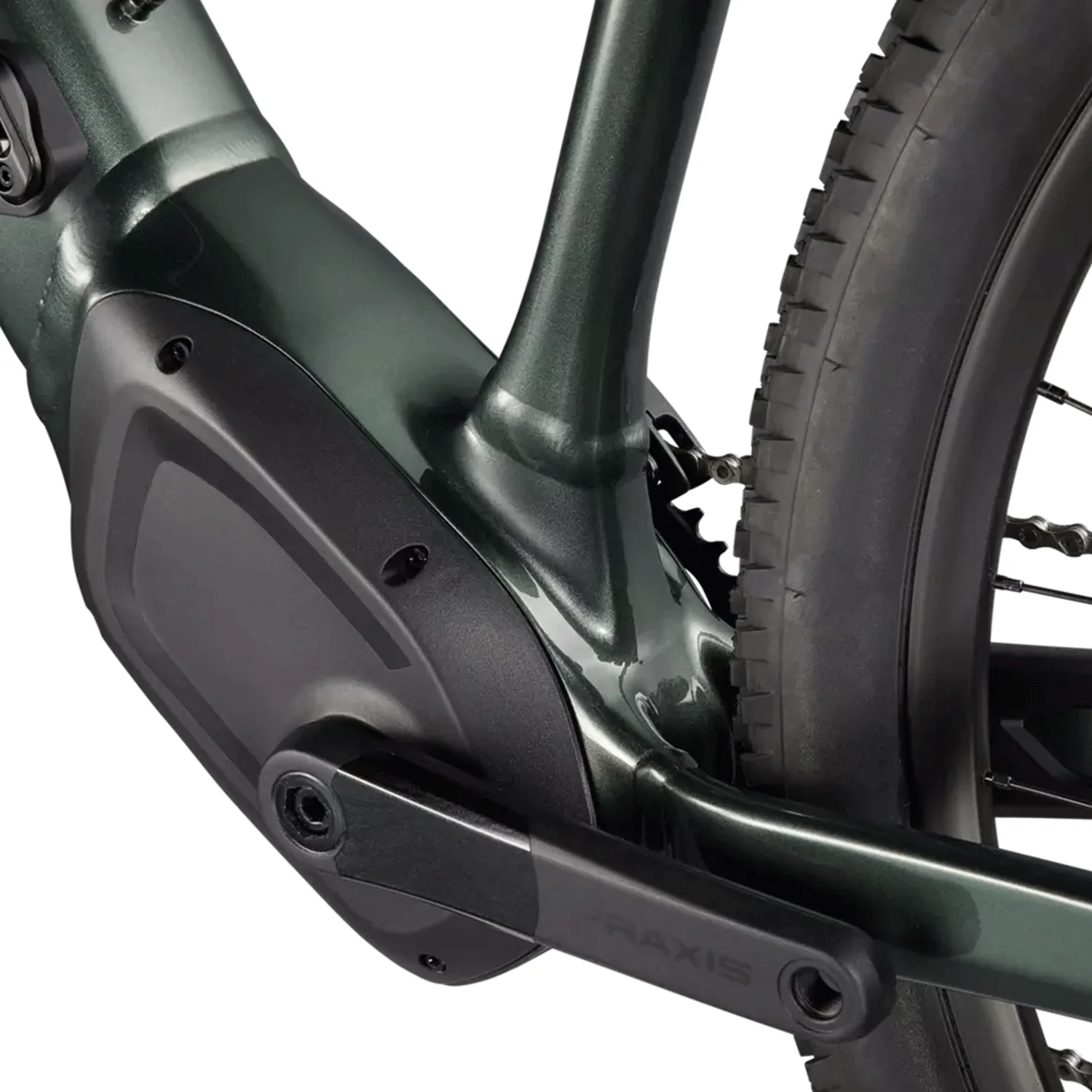 Specialized Tero 3.0 Bike 2025 Oak Green Metallic/Smoke - Image 3