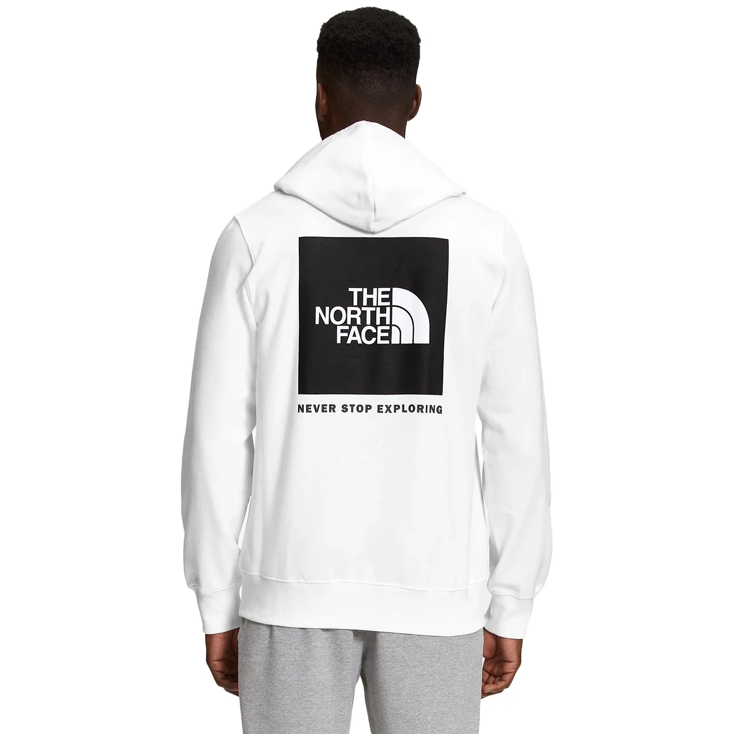 The North Face Box NSE Pullover Hoodie (past season)